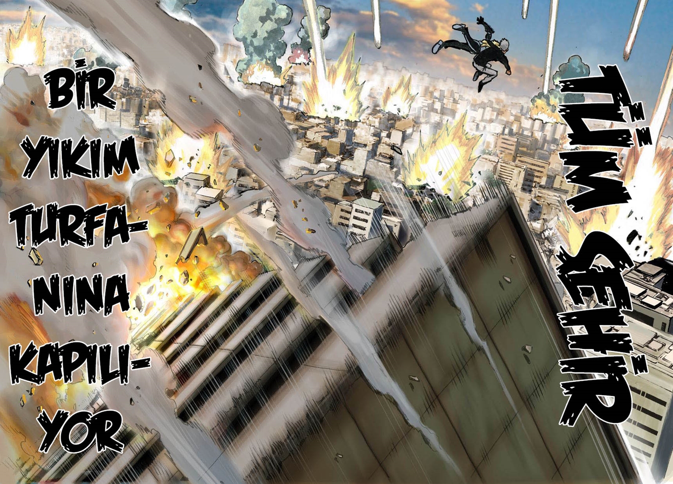 Read Tek Yumruk TR Manga Online