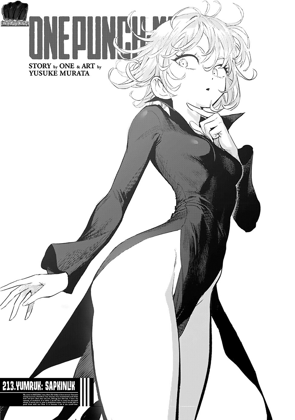 Read Tek Yumruk TR Manga Online