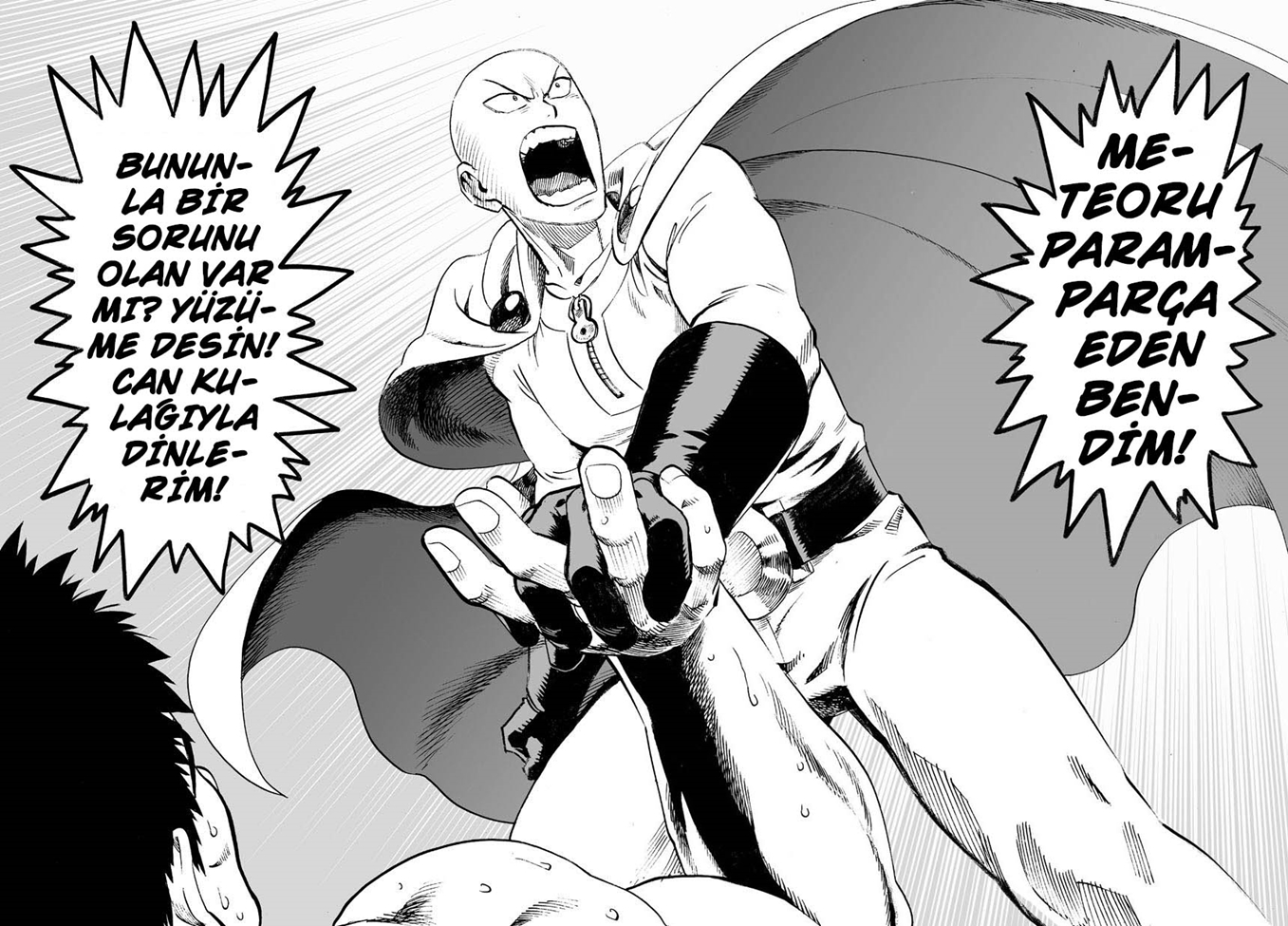 Read Tek Yumruk TR Manga Online