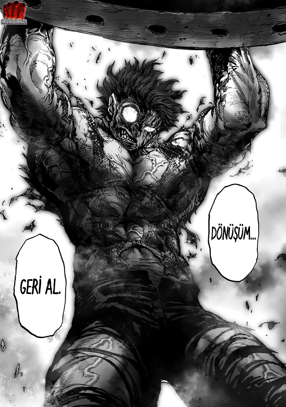 Read Tek Yumruk TR Manga Online