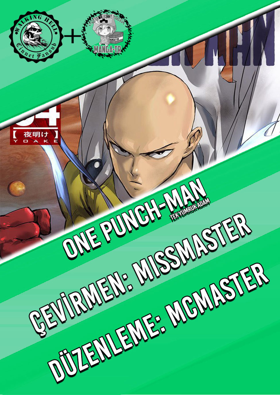 Read Tek Yumruk TR Manga Online