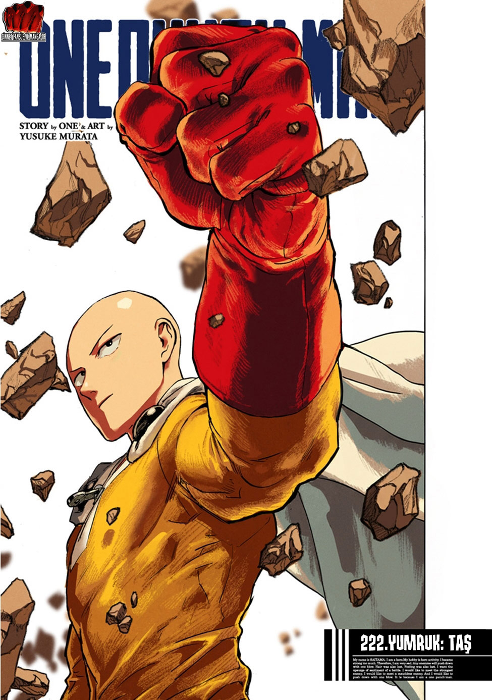 Read Tek Yumruk TR Manga Online
