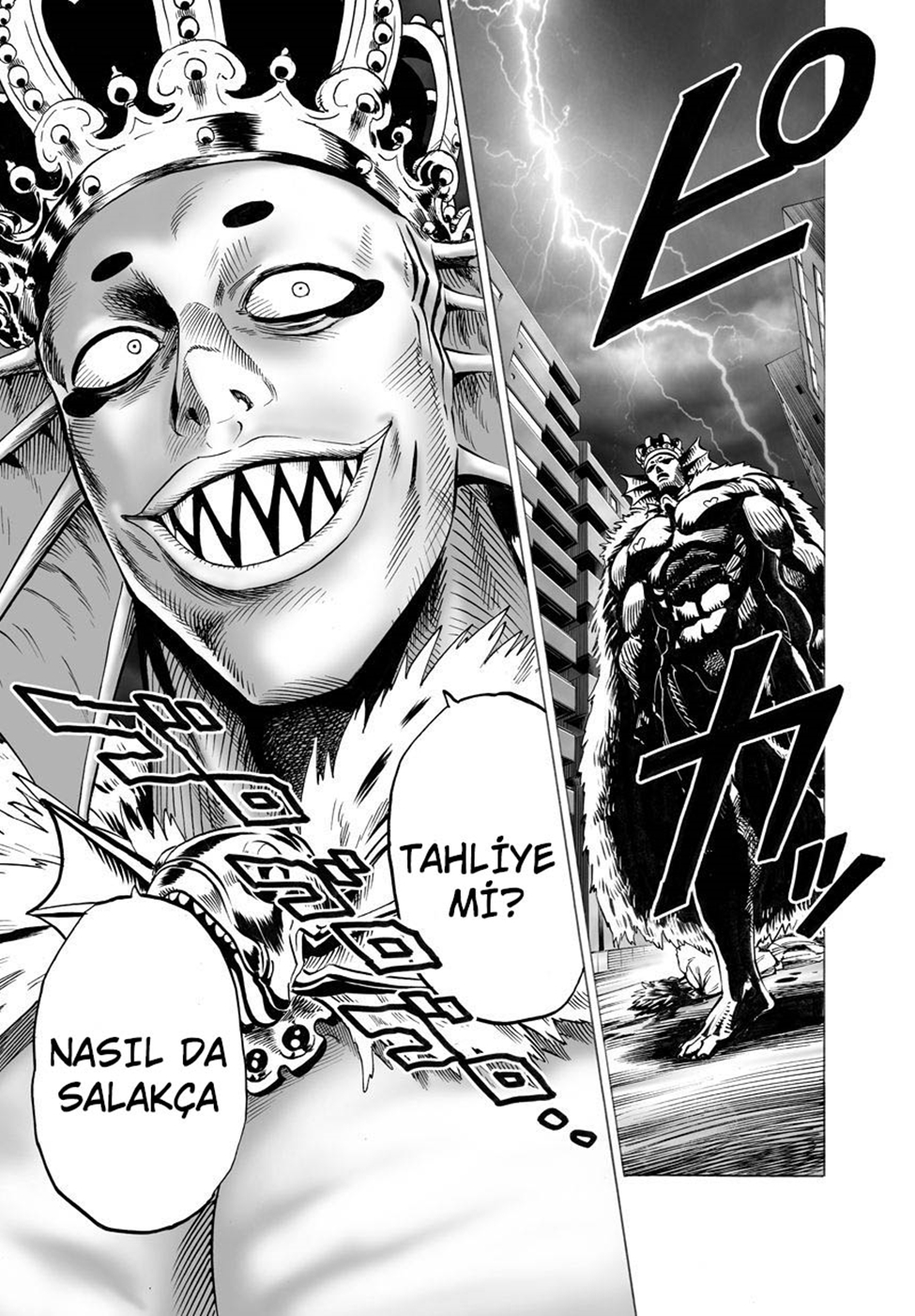Read Tek Yumruk TR Manga Online