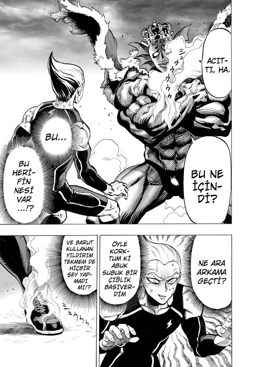 Read Tek Yumruk TR Manga Online