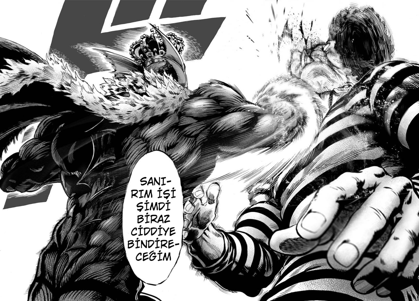 Read Tek Yumruk TR Manga Online