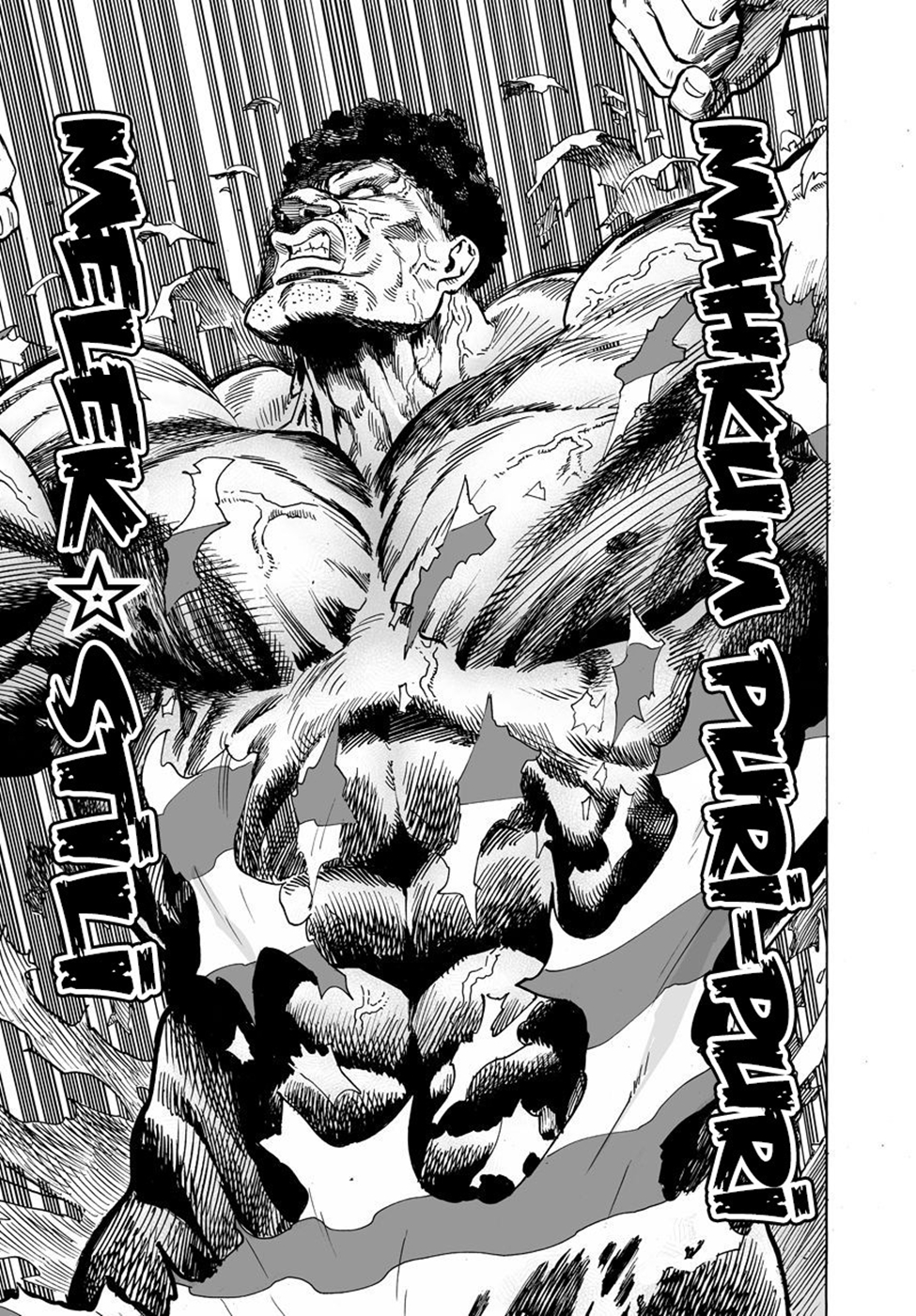 Read Tek Yumruk TR Manga Online