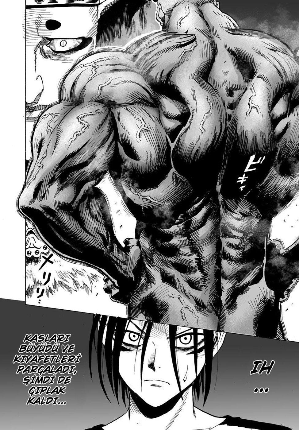 Read Tek Yumruk TR Manga Online