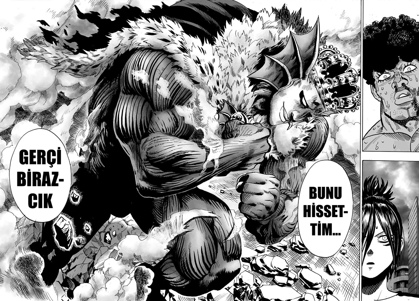 Read Tek Yumruk TR Manga Online