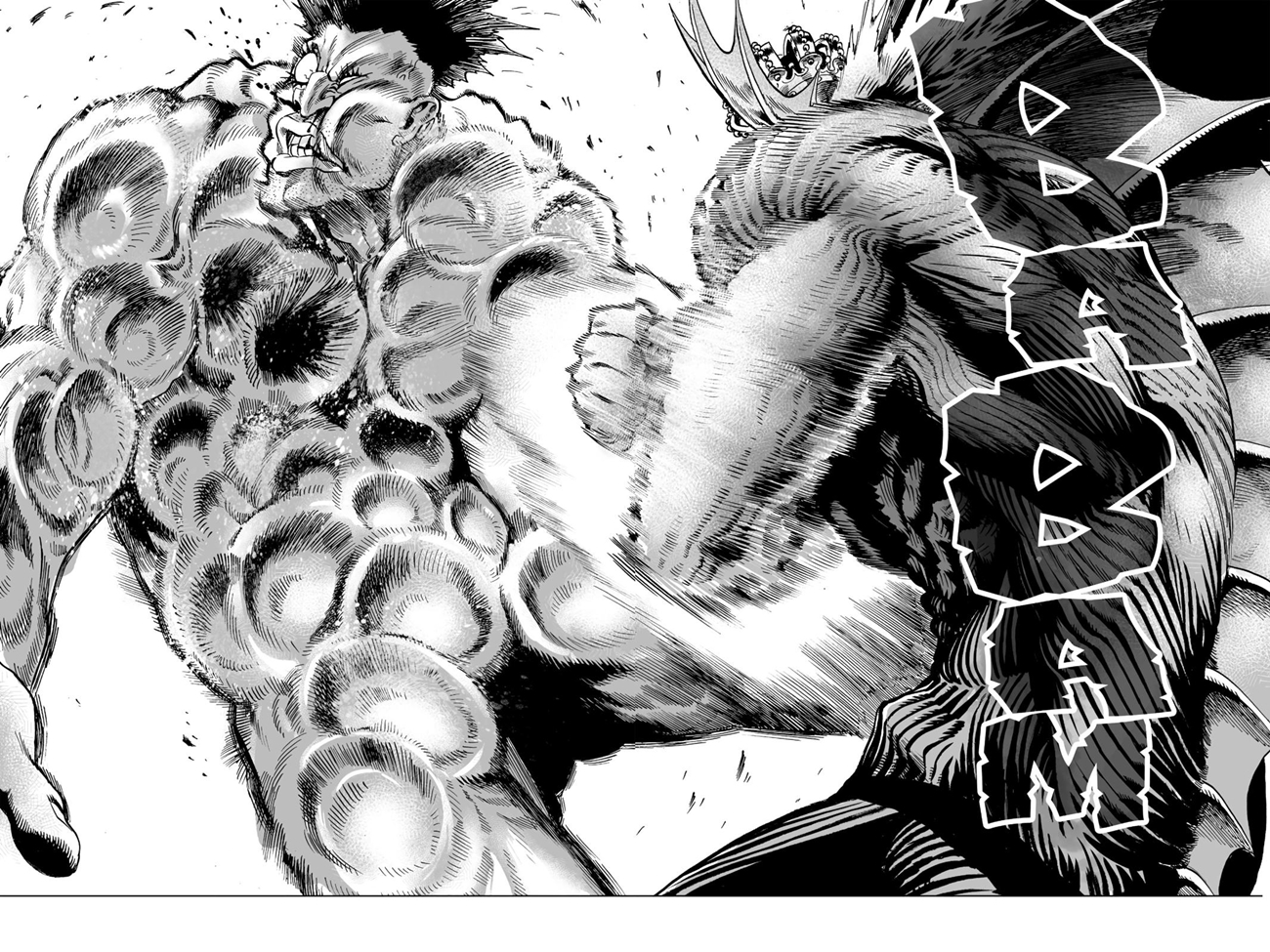 Read Tek Yumruk TR Manga Online
