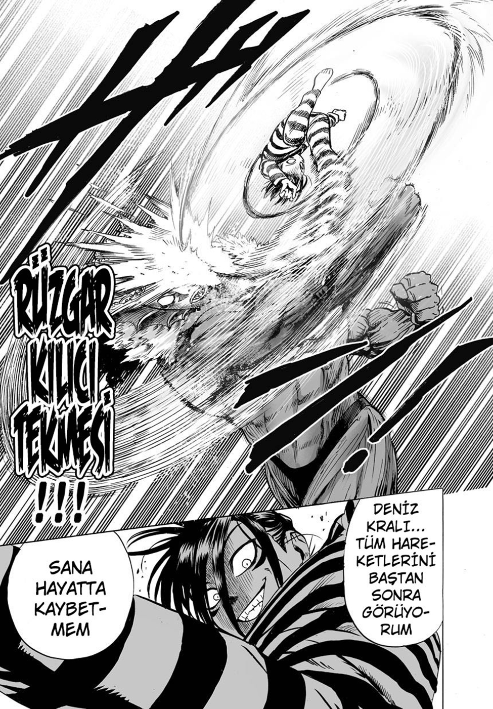 Read Tek Yumruk TR Manga Online