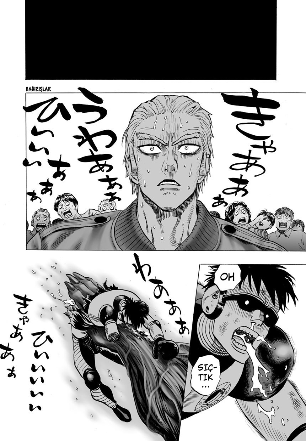 Read Tek Yumruk TR Manga Online