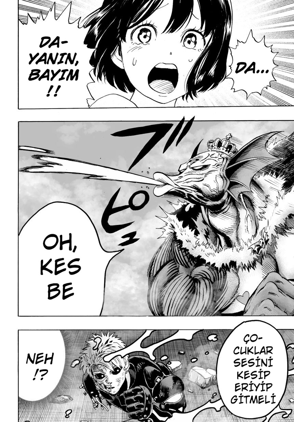 Read Tek Yumruk TR Manga Online
