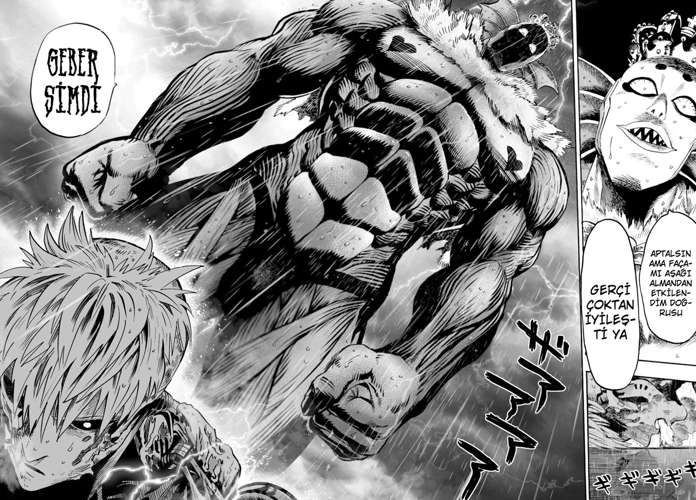 Read Tek Yumruk TR Manga Online