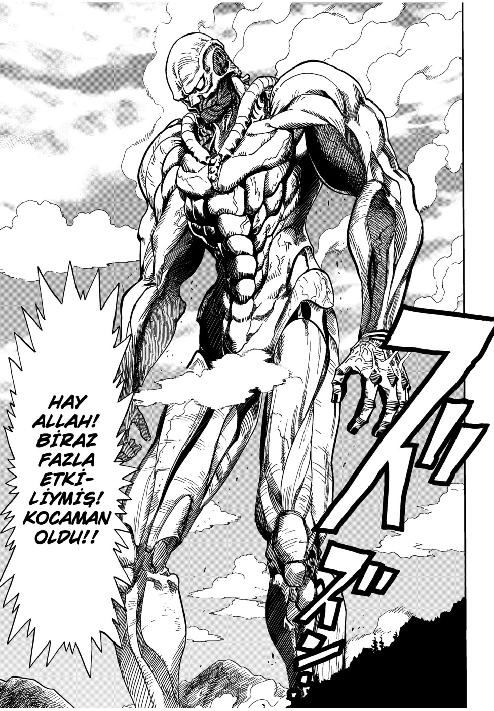 Read Tek Yumruk TR Manga Online
