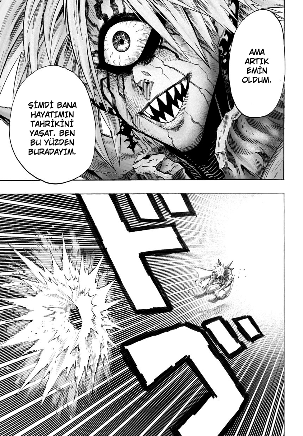 Read Tek Yumruk TR Manga Online