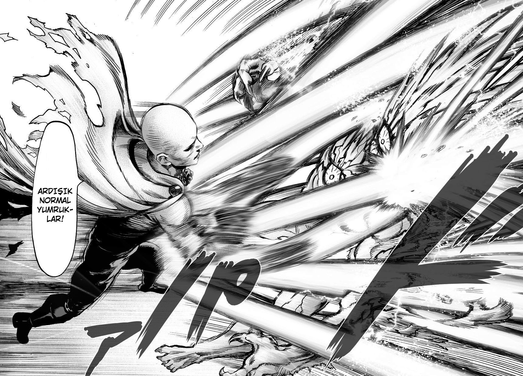 Read Tek Yumruk TR Manga Online