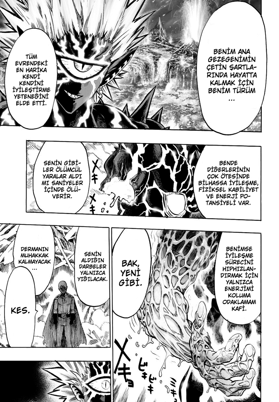Read Tek Yumruk TR Manga Online