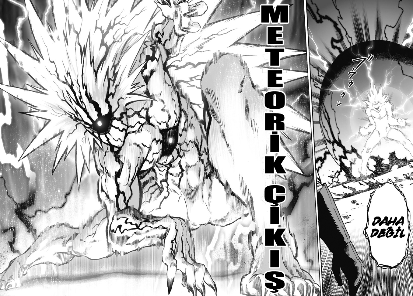 Read Tek Yumruk TR Manga Online