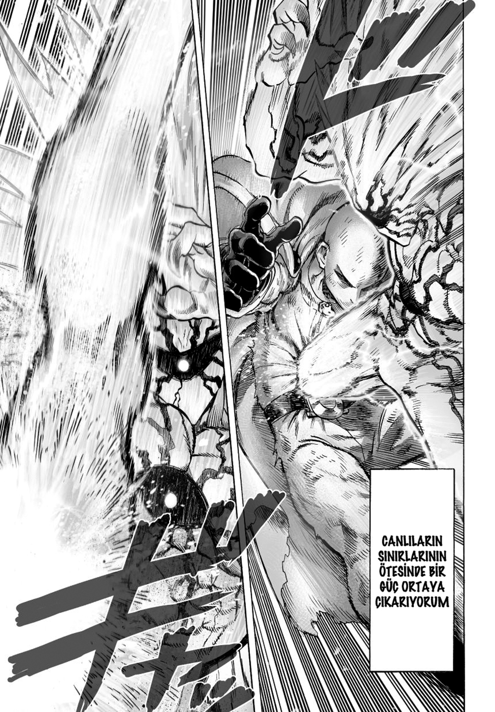 Read Tek Yumruk TR Manga Online