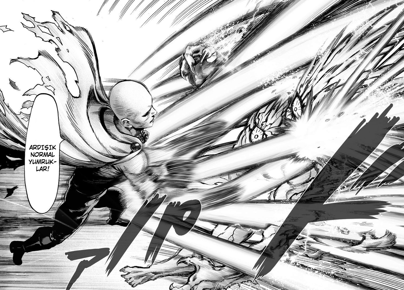Read Tek Yumruk TR Manga Online