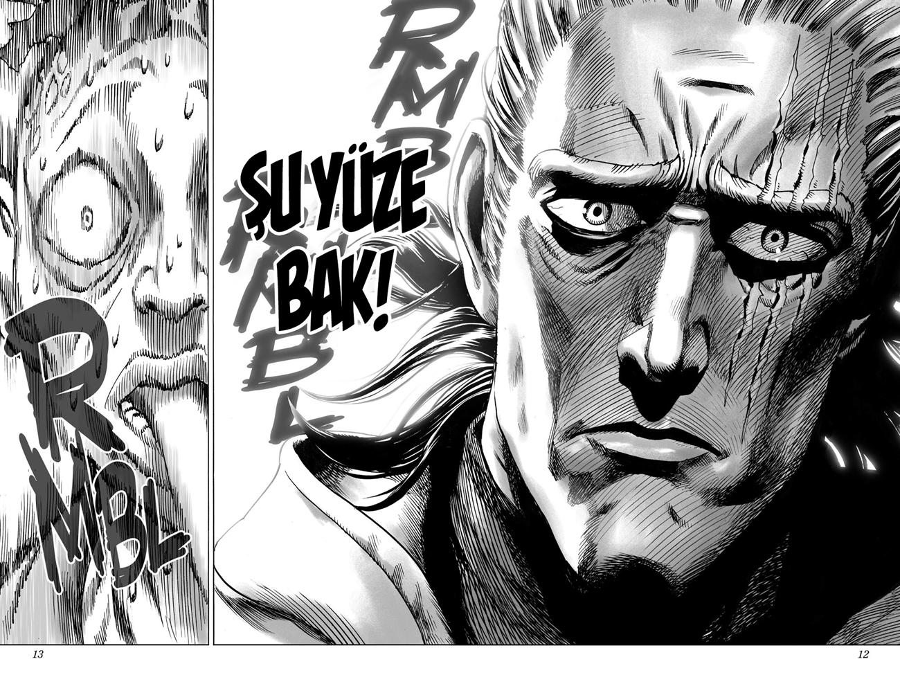 Read Tek Yumruk TR Manga Online