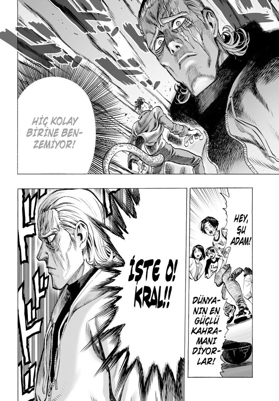 Read Tek Yumruk TR Manga Online