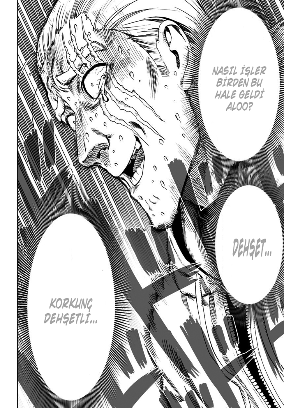 Read Tek Yumruk TR Manga Online