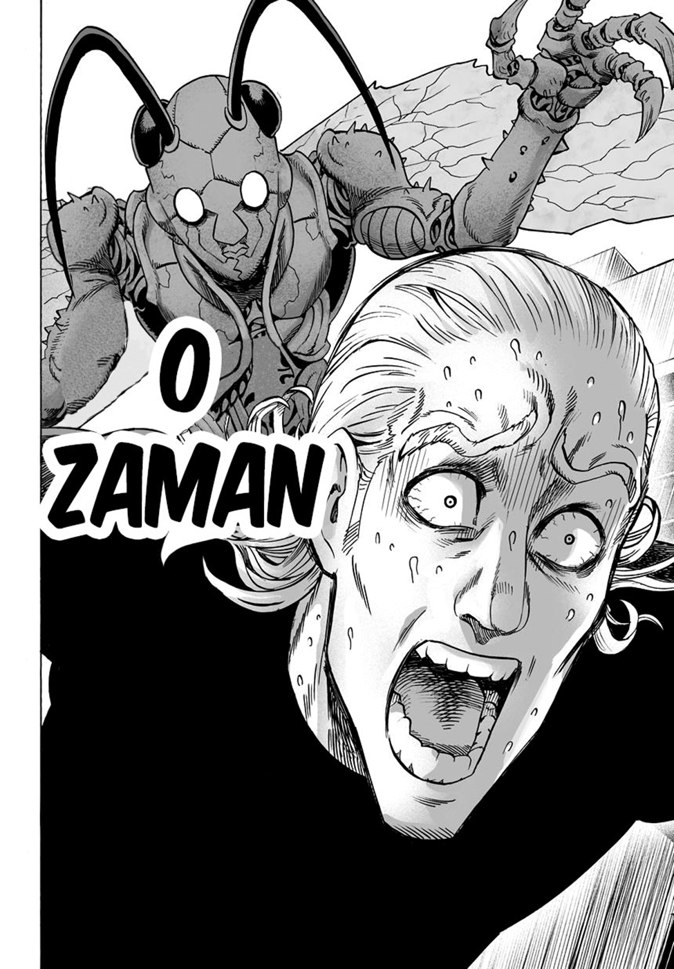 Read Tek Yumruk TR Manga Online