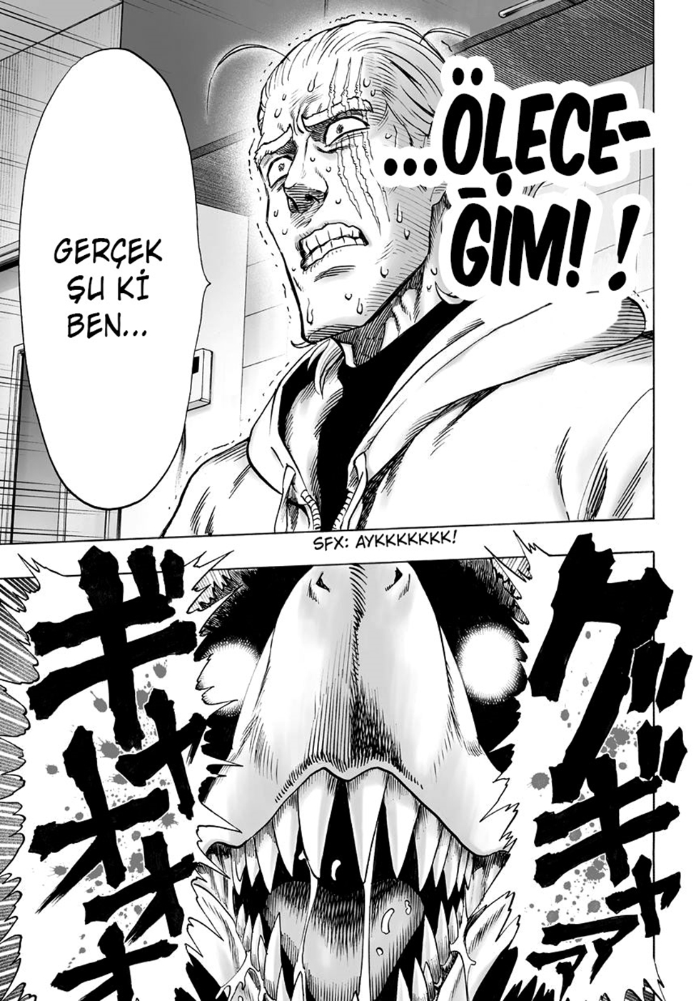 Read Tek Yumruk TR Manga Online