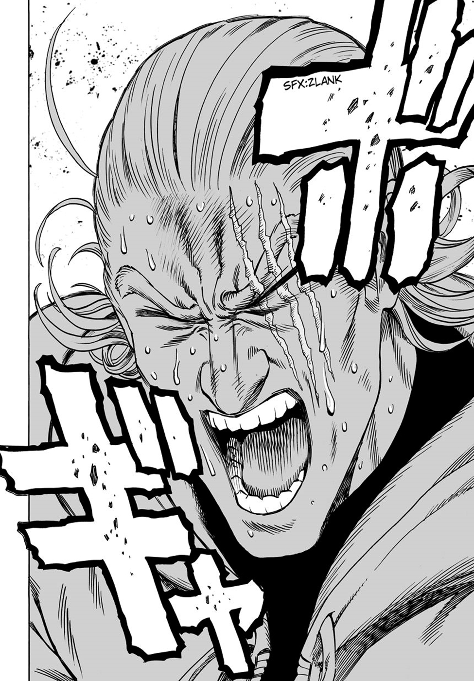 Read Tek Yumruk TR Manga Online