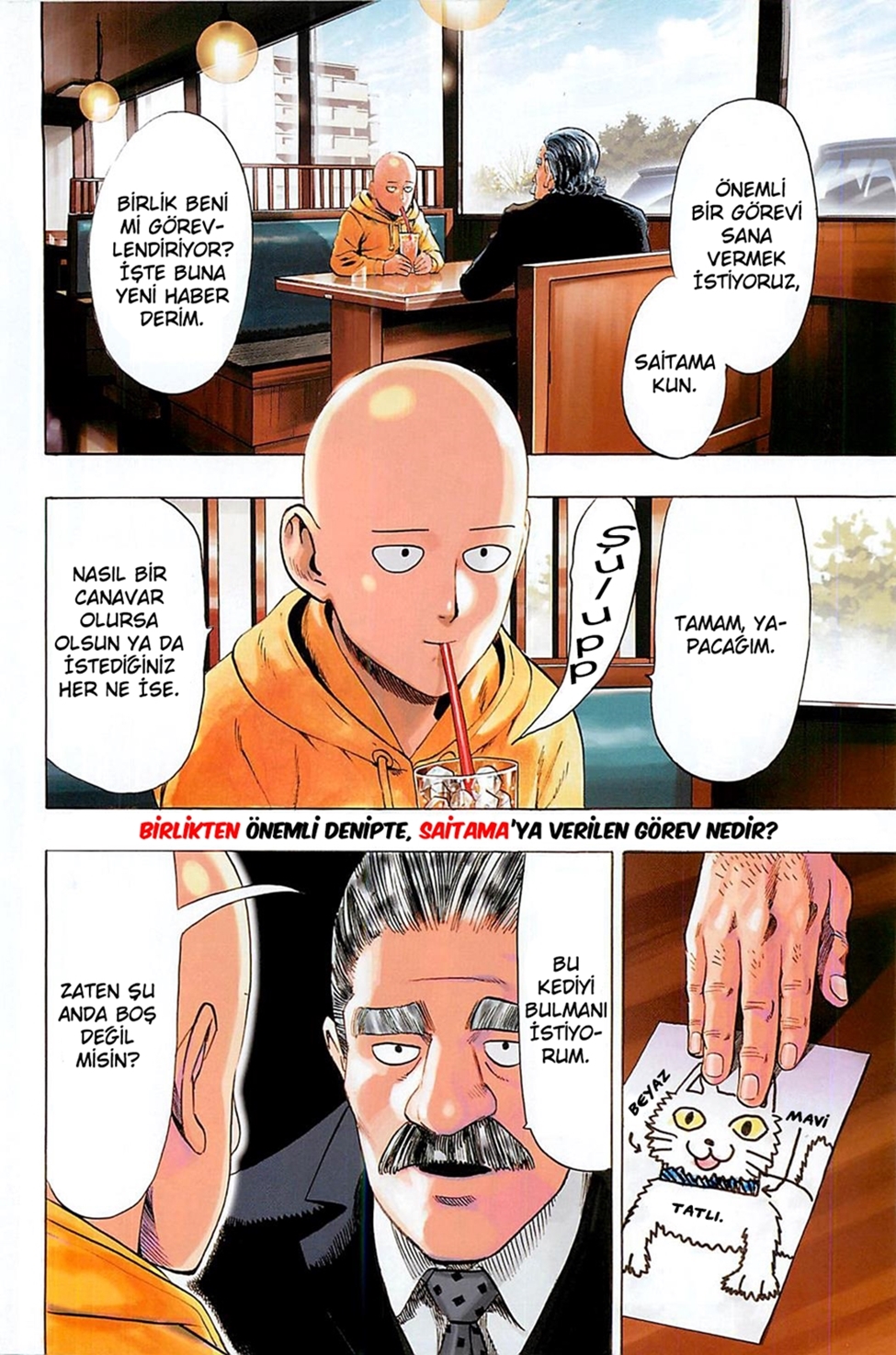 Read Tek Yumruk TR Manga Online
