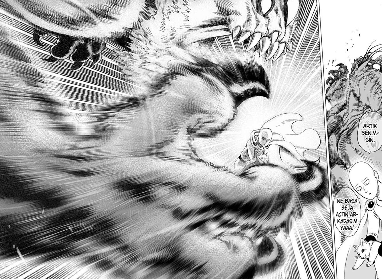 Read Tek Yumruk TR Manga Online