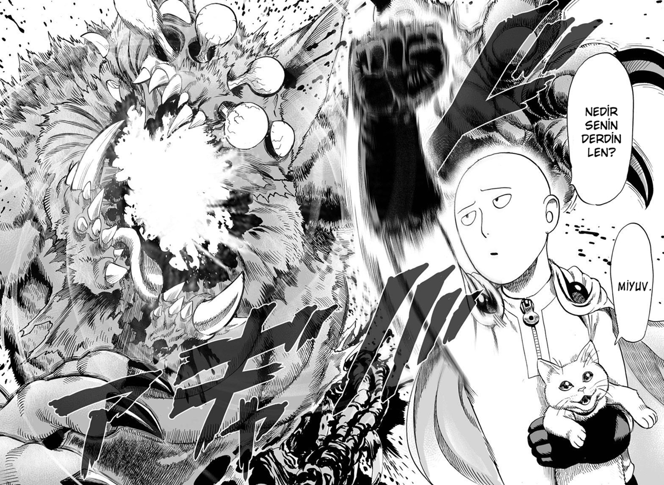 Read Tek Yumruk TR Manga Online