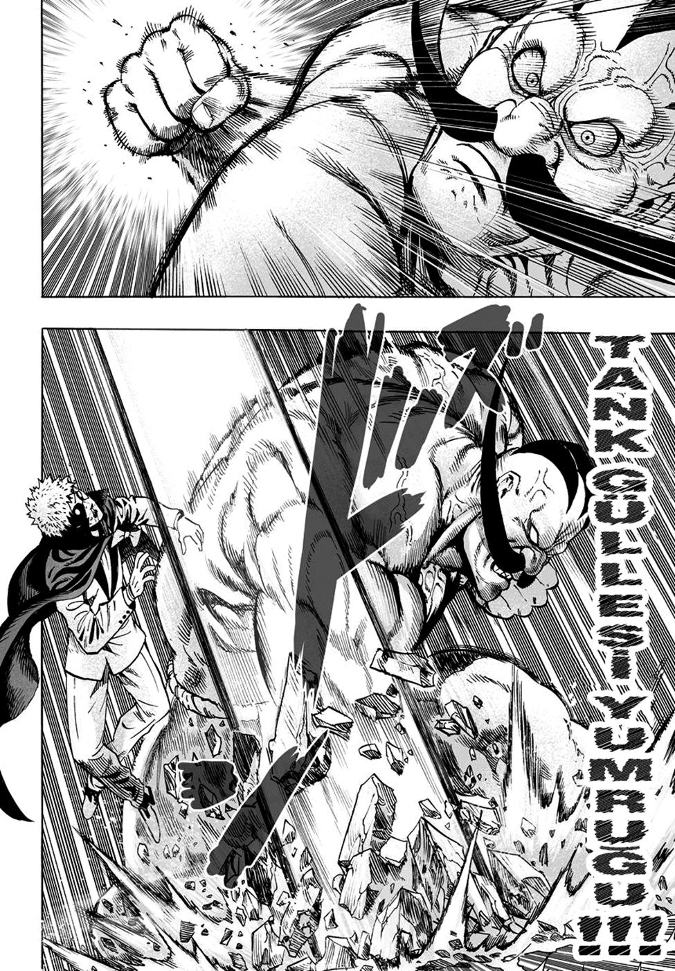 Read Tek Yumruk TR Manga Online