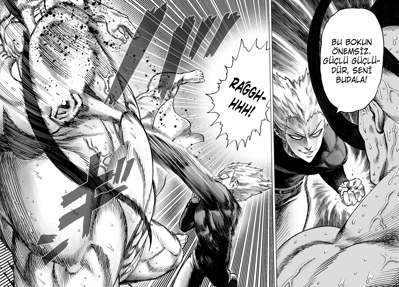Read Tek Yumruk TR Manga Online