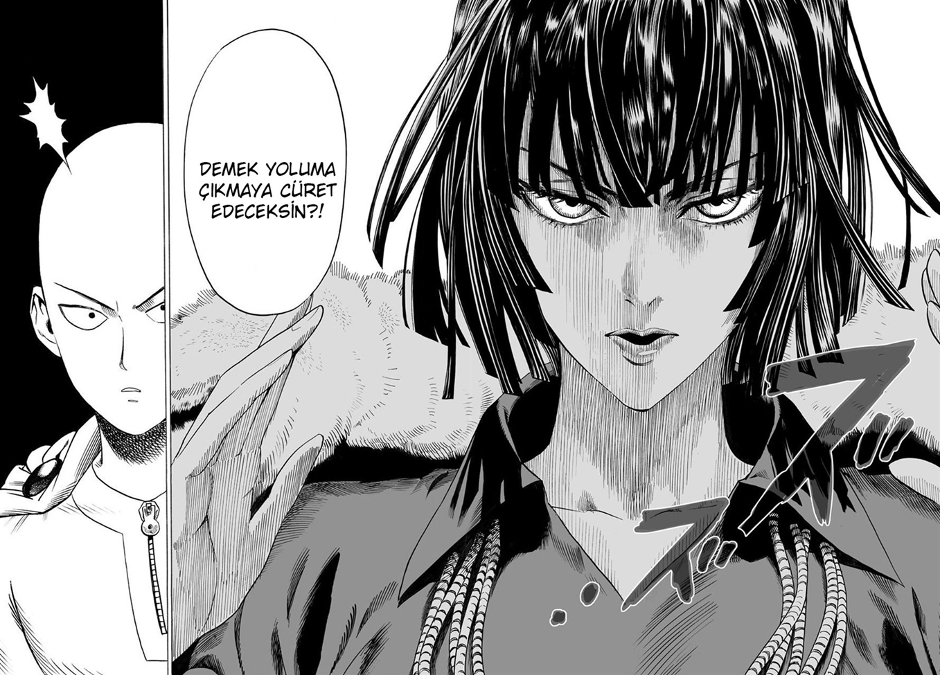 Read Tek Yumruk TR Manga Online