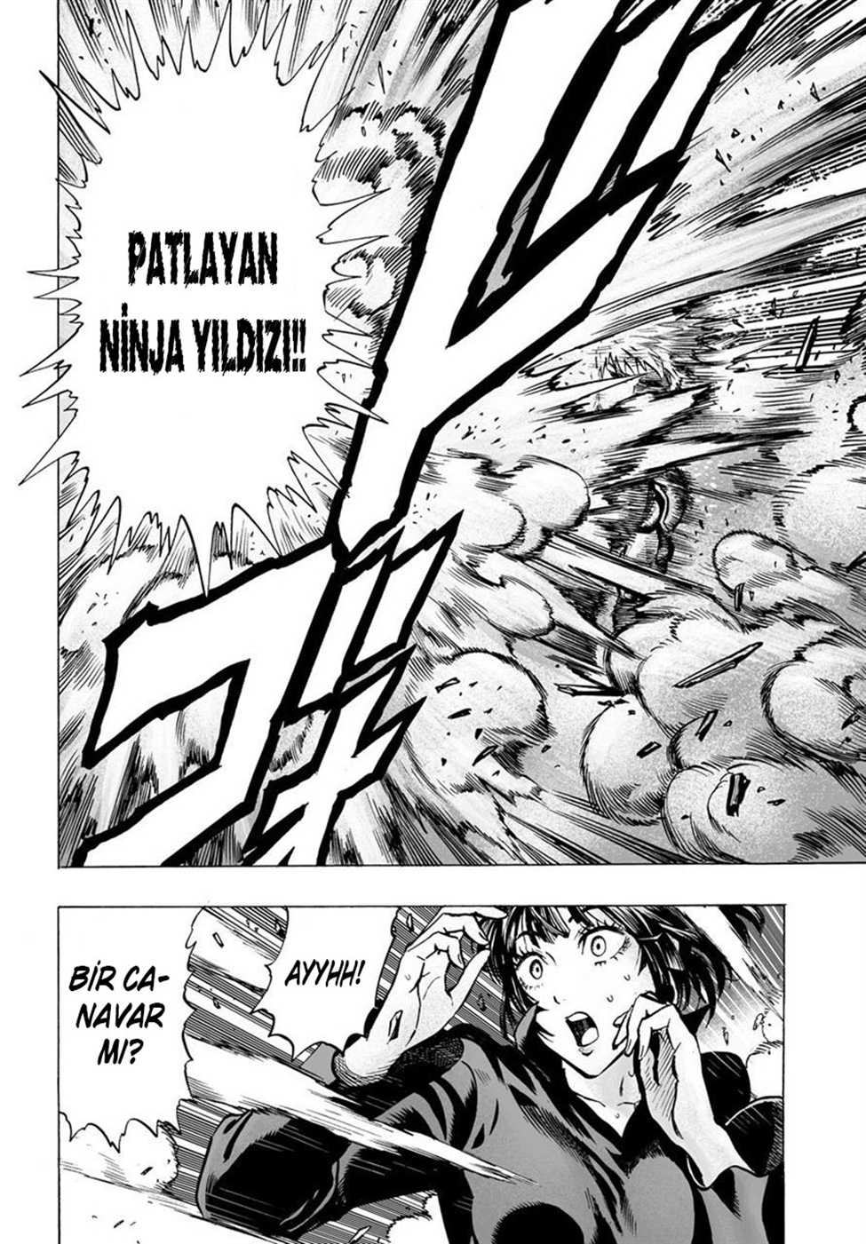 Read Tek Yumruk TR Manga Online