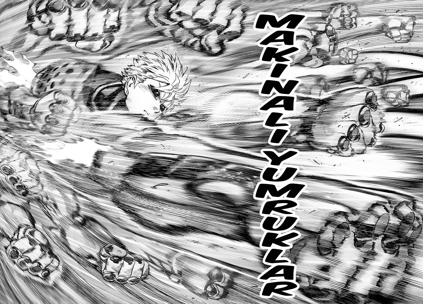 Read Tek Yumruk TR Manga Online