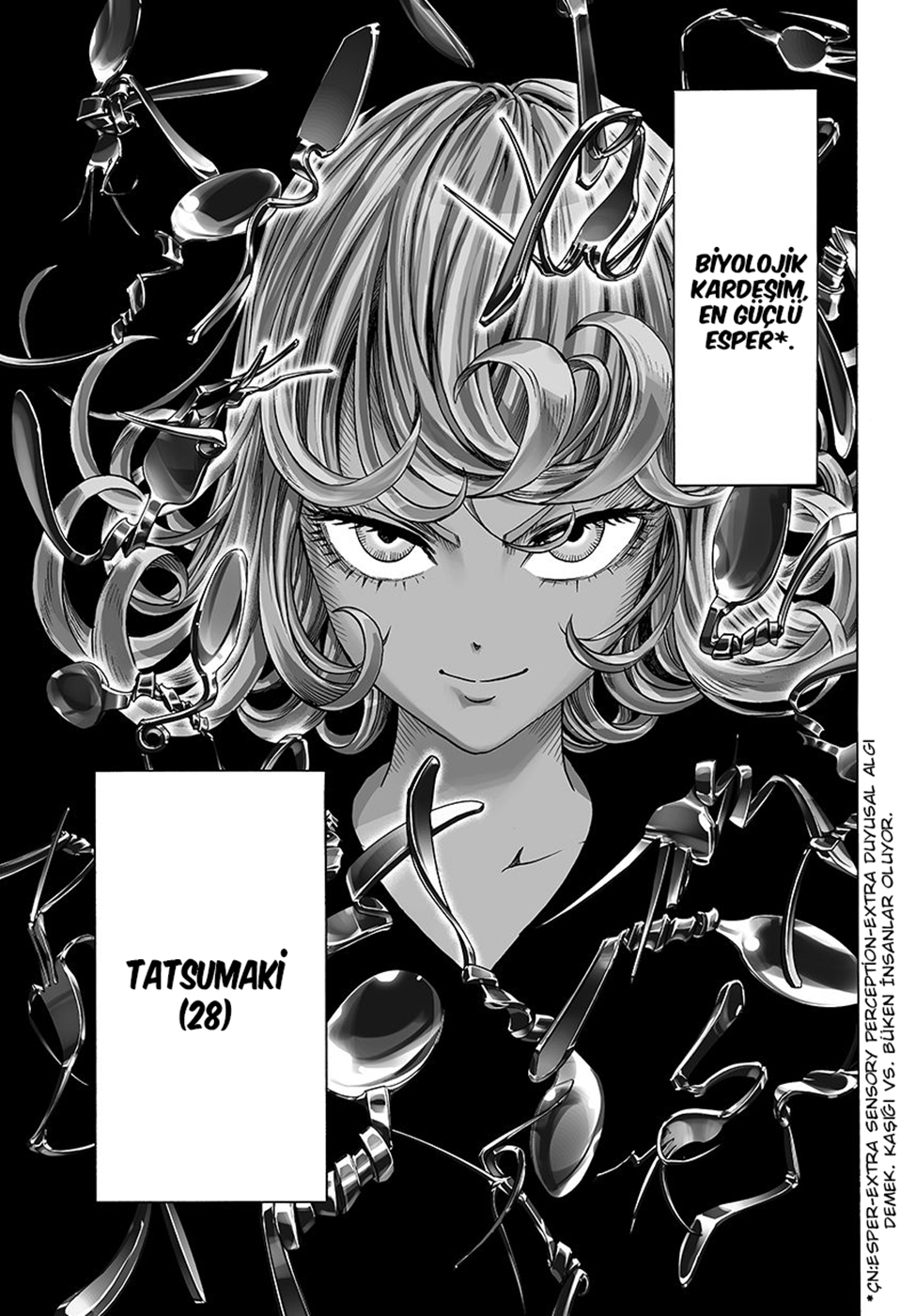 Read Tek Yumruk TR Manga Online