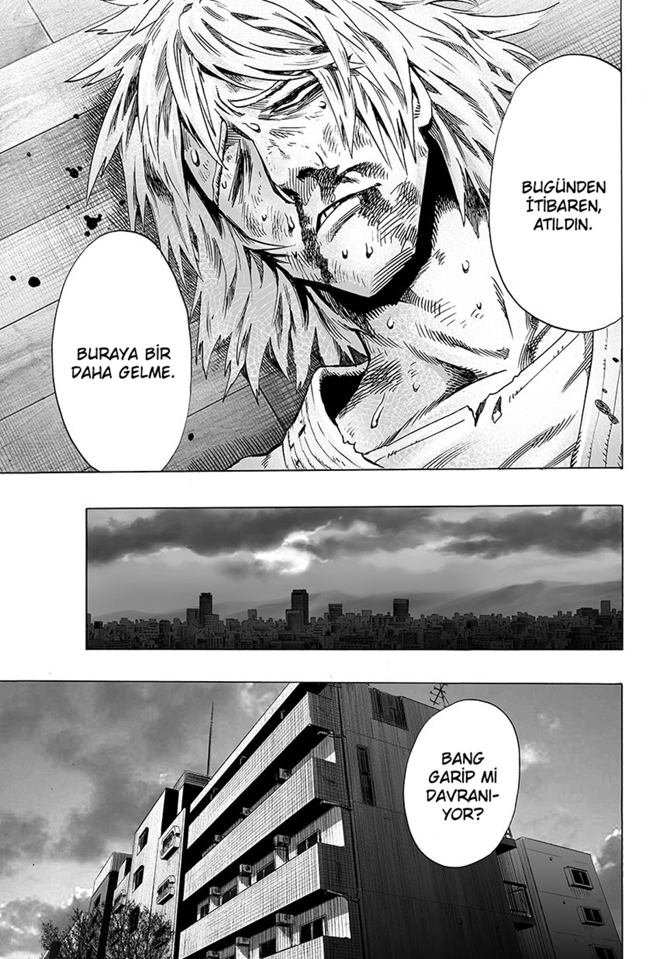 Read Tek Yumruk TR Manga Online