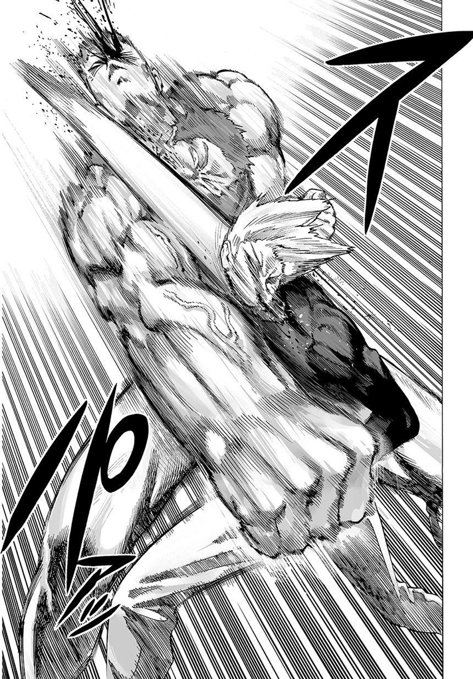 Read Tek Yumruk TR Manga Online