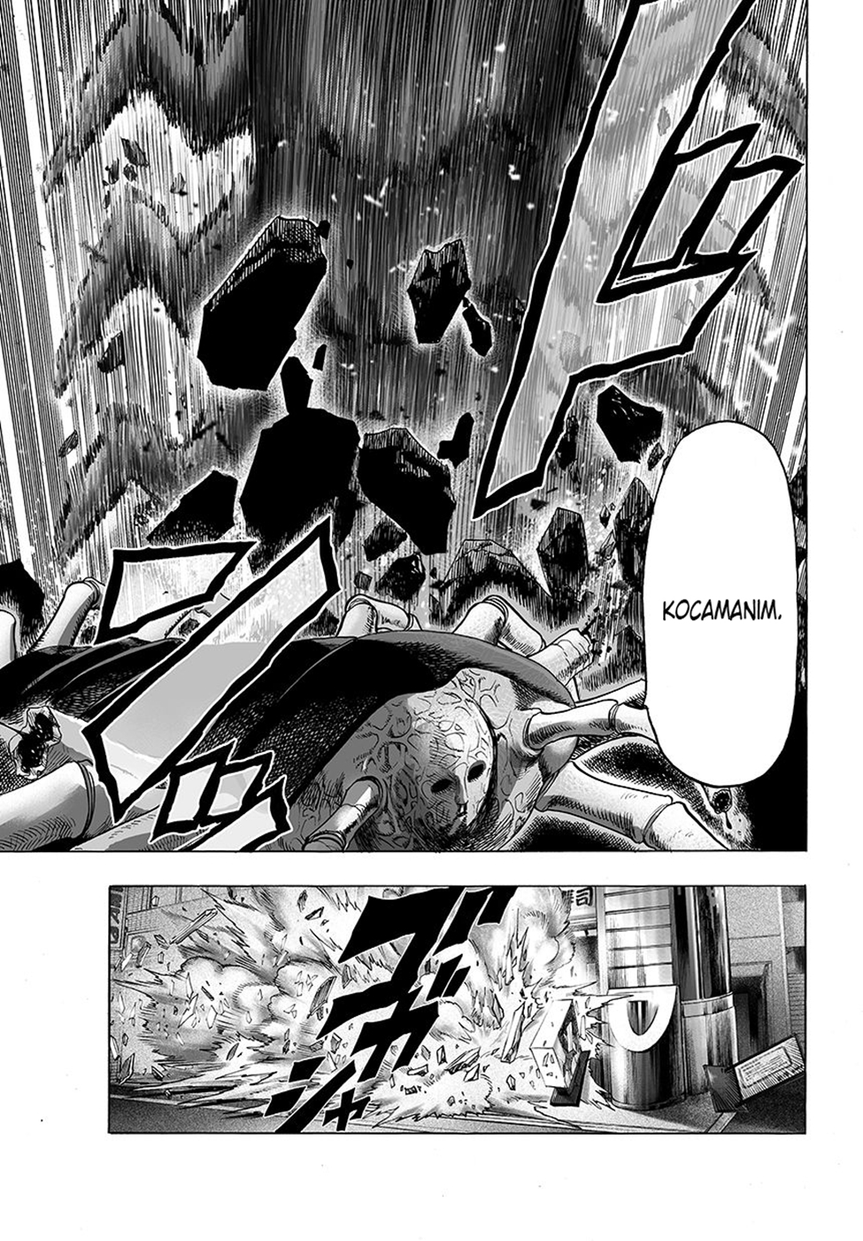Read Tek Yumruk TR Manga Online