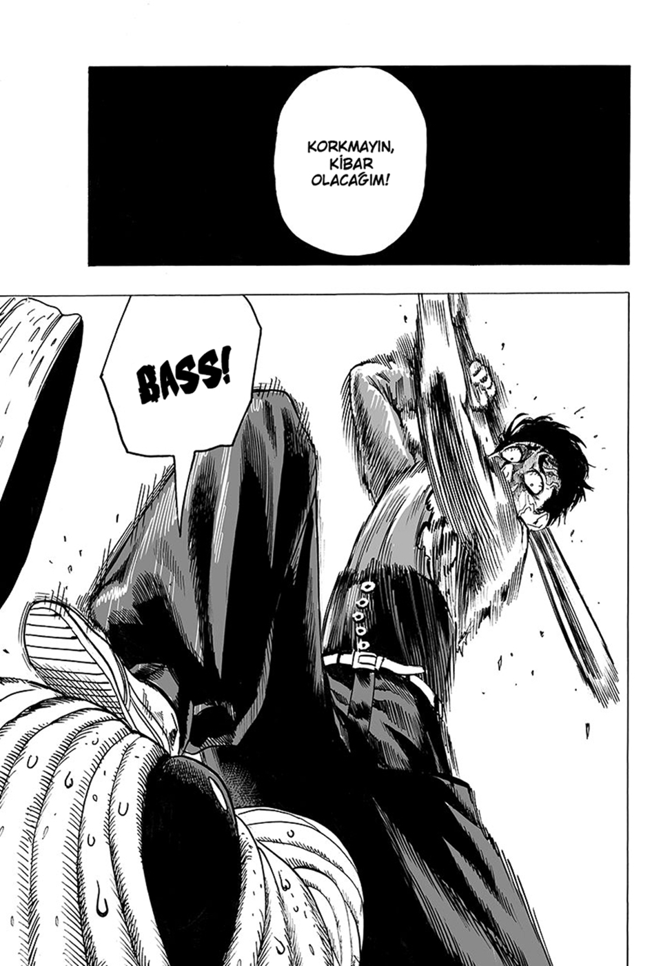 Read Tek Yumruk TR Manga Online