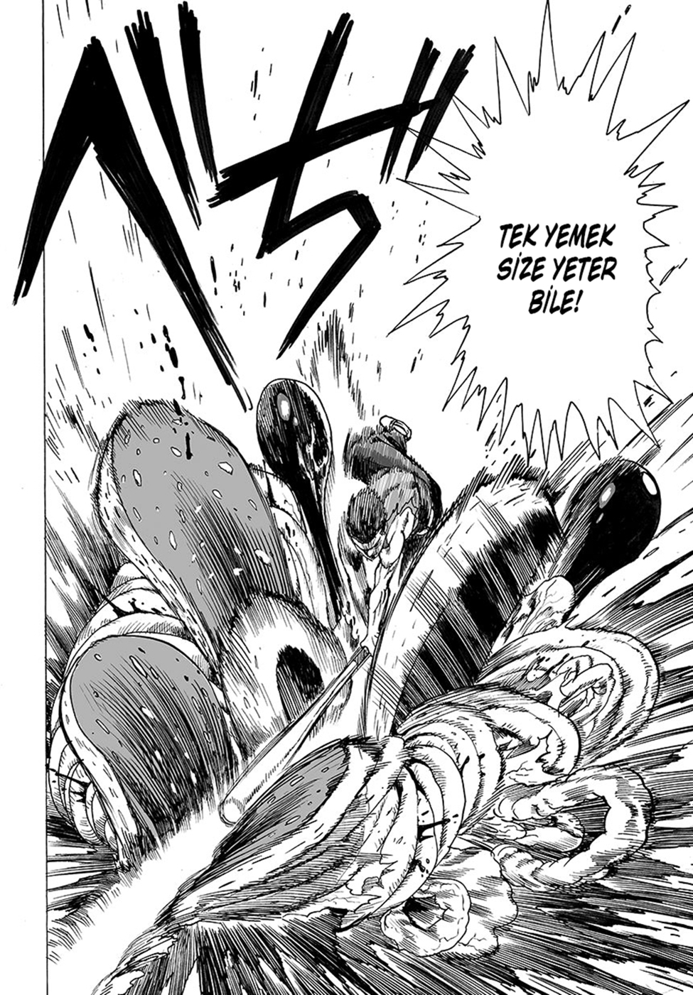 Read Tek Yumruk TR Manga Online
