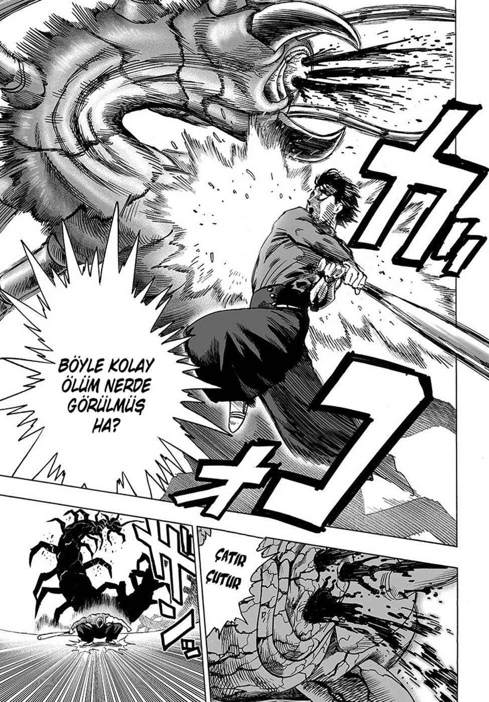 Read Tek Yumruk TR Manga Online