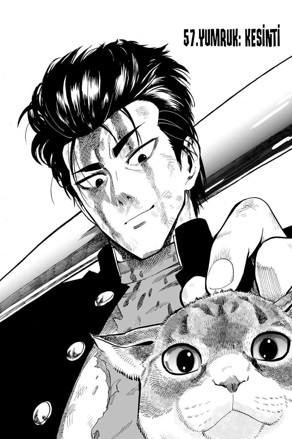 Read Tek Yumruk TR Manga Online