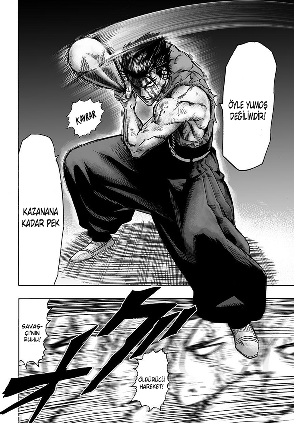 Read Tek Yumruk TR Manga Online