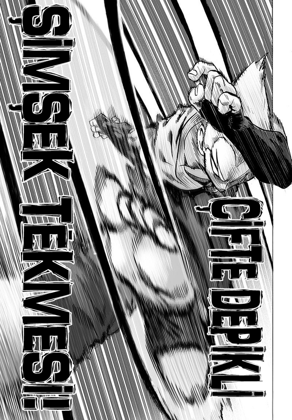 Read Tek Yumruk TR Manga Online