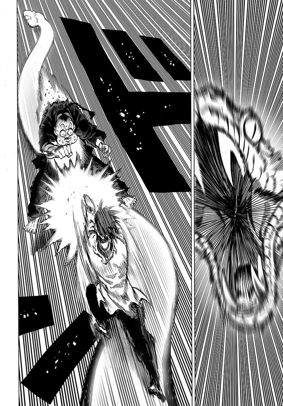 Read Tek Yumruk TR Manga Online