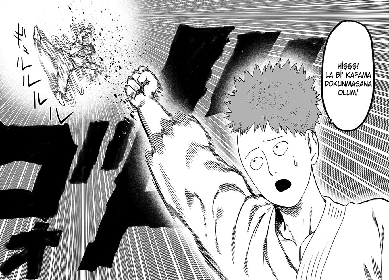 Read Tek Yumruk TR Manga Online